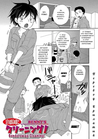 Nyotaika Cleaning! (Genderswap Cleaning! Изменяющая тело уборка)