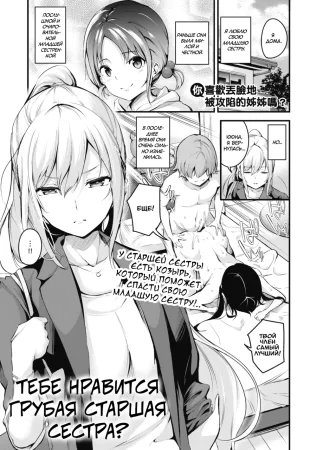 Тебе нравится грубая старшая сестра? (Darashinaku Ochiru Onee-san Wa Suki Desu Ka?)